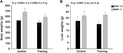 Comparison of the effects of BDNF/TRKB signalling on metabolic biomarkers in the liver of sedentary and trained rats with normal and knockout BDNF genotypes